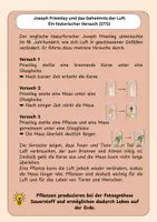 Vorschau - Arbeitsblätter - Fotosynthese verstehen – Priestley-Versuch & Bedeutung der Pflanzen | Digitale Präsentation + Arbeitsblätter - Seite 3