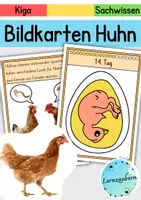Vorschau - Bildkarten - Bildkarten: Huhn und Entwicklung im Ei - Deckblatt