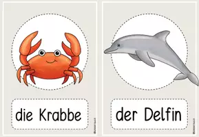 Vorschau - Präsentationen/Tafelbilder - Bild- und Wortkarten Meerestiere/ DAZ/ Anfangsunterricht - Seite 2