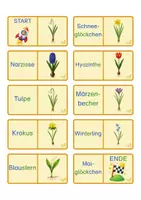 Vorschau - Stationenlernen - Frühblüher - Domino, 2-fach differenziert - Seite 1