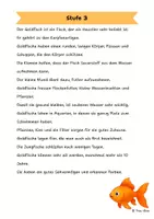 Vorschau - Arbeitsblätter - Der Goldfisch - Differenzierte Sach- und Lesetexte - Seite 3