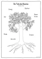 Vorschau - Arbeitsblätter - Der Baum – Teile des Baumes, Laub‑ und Nadelbaum, Waldtiere (Sachunterricht 1./2. Klasse) - Seite 2