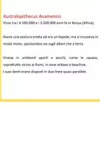 anteprima - Compiti in classe/Test - storia terza primaria - Pagina 2