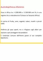 anteprima - Compiti in classe/Test - storia terza primaria - Pagina 3