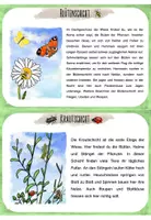 Vorschau - Stationenlernen - Stockwerke der Wiese - Wissenskartei - Seite 2