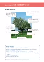 Vorschau - Merkblätter - DER APFELBAUM – Hintergrundwissen und Bildmaterial - Seite 3