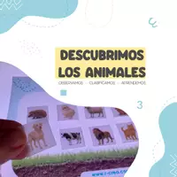 Vista previa - Tarjetas / Manipulativos - clasificacion animales en mesa de luz - Portada