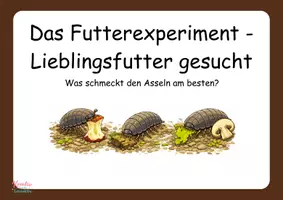 Vorschau - Unterrichtsreihen - Wir werden Assel - Forscher (Futterexperiment) - Seite 1