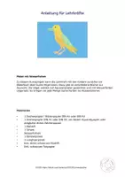 Vorschau - Mal- und Bastelvorlagen - Kunst Grundschule, male bunte Aquarell Vögel - Seite 3