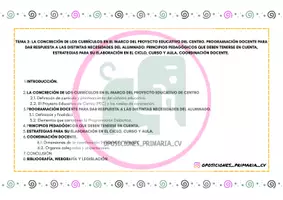 Vista previa - Otros - TEMA 2 LA CONCRECIÓN DE LOS CURRÍCULOS EN EL MARCO DEL PROYECTO EDUCATIVO DEL CENTRO - Portada