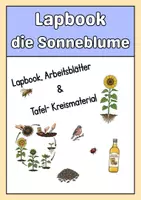 Vorschau - Mal- und Bastelvorlagen - Lapbook Sonnenblume - Deckblatt