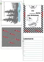 Vorschau - Arbeitsblätter - Amphibien, BNT Klasse 5 Labbook - Seite 2