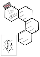Vorschau - Arbeitsblätter - Amphibien, BNT Klasse 5 Labbook - Seite 3