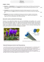 Vorschau - Stundenentwürfe - ES 4 - Mitose WDH & Probeklausur Mitose Genetik - Deckblatt