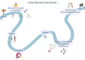 Vorschau - Stundenentwürfe - ES 5 - Zellzyklus - EF - Genetik - Seite 3