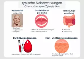 Vorschau - Stundenentwürfe - DS 7 - Zytostatika Diskussion - EF - Genetik - Seite 3