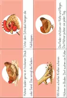 Vorschau - Aufgabenkarten - Das Huhn - Lesekarten und Abschreibheft | Sachunterricht (1./2. Klasse) Freiarbeit - Seite 2