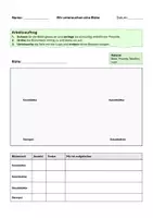 Vorschau - Arbeitsblätter - Aufbau einer Blüte untersuchen - Arbeitsblatt zur Blütensezierung - Seite 1