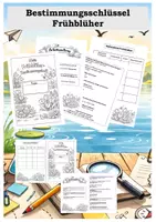 Vorschau - Arbeitsblätter - Materialpaket: Frühblüher - Bestimmungsschlüssel, Sezieren, Buddybook & Gruppenpuzzle - Seite 1