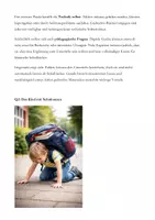 Vorschau - Prüfungsvorbereitung - Erörterung - Prüfungsvorbereitung - Sind Tablets besser als Schulbücher? - Seite 1