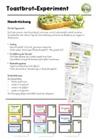Vorschau - Arbeitsblätter - Toastbrot-Experiment – Schimmel & Hygiene sichtbar machen - Tagebuch - Seite 1