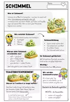 Vorschau - Arbeitsblätter - Toastbrot-Experiment – Schimmel & Hygiene sichtbar machen - Tagebuch - Seite 3