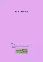 Vorschau - Stundenentwürfe - ES 8 - Meiose WDH - EF - Genetik - Seite 1