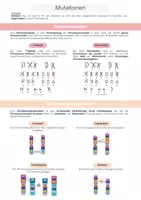 Vorschau - Stundenentwürfe - ES 9 - Mutation - EF - Genetik - Deckblatt