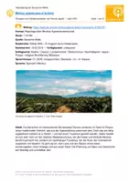 Vorschau - Arbeitsblätter - Gratisprobe Aufgaben zu Podcast: México: agaves para el turismo - Deckblatt