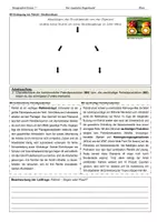 Vorschau - Arbeitsblätter - Trop. Regenwald: Palmöl - AB + Lösung - Seite 3