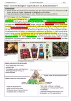 Vorschau - Arbeitsblätter - Immerfeuchte Tropen: Der tropische Regenwald - Raumanalyse - Seite 1
