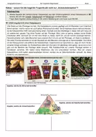 Vorschau - Arbeitsblätter - Immerfeuchte Tropen: Der tropische Regenwald - Raumanalyse - Deckblatt
