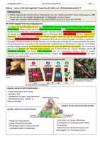 Vorschau - Arbeitsblätter - Immerfeuchte Tropen: Der tropische Regenwald - Raumanalyse - Seite 3