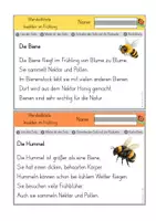 Vorschau - Arbeitsblätter - Wendediktate Insekten im Frühling (Kl. 2-4) - Seite 3