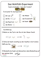 Vorschau - Arbeitsblätter - Wir werden Assel - Forscher (Das Wohlfühlexperiment) - Seite 3