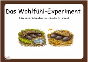 Vorschau - Arbeitsblätter - Wir werden Assel - Forscher (Das Wohlfühlexperiment) - Seite 1