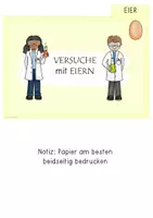 Vorschau - Experimente - 6 Versuche Experimente mit Eier Sachunterricht experimentieren - Seite 3