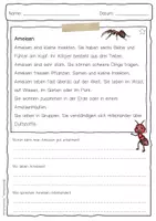 Vorschau - Arbeitsblätter - Sachtext Ameise - Seite 1