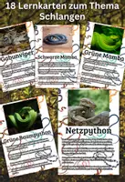 Vorschau - Merkblätter - 18 Lernkarten mit Fakten - Schlangen aller Welt - Deckblatt
