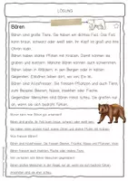 Vorschau - Arbeitsblätter - Sachtext Bär / Braunbär - Seite 2