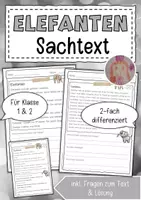 Vorschau - Arbeitsblätter - Sachtext Elefant - Deckblatt