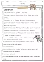 Vorschau - Arbeitsblätter - Sachtext Elefant - Seite 2