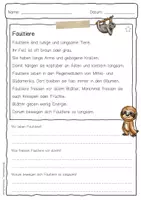 Vorschau - Arbeitsblätter - Sachtext Faultier - Seite 1