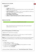 Vista previa - Unidades / Secuencias / Situaciones de Aprendizaje - taller con microscopio - página 1