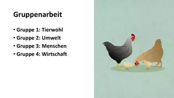 Vorschau - Stundenentwürfe - Massentierhaltung - Seite 3