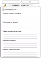 Vorschau - Arbeitsblätter - Hormonelle Verhütung Biologie Arbeitsblätter mit Fragen + Lösungen Lesetext - Seite 3