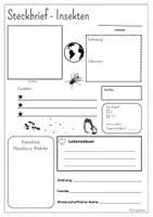 Vorschau - Arbeitsblätter - Steckbrief Insekten - Vorlage - Deckblatt