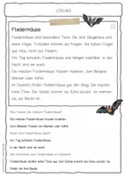 Vorschau - Arbeitsblätter - Sachtext Fledermaus - Seite 2