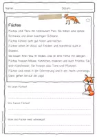 Vorschau - Arbeitsblätter - Sachtext Fuchs - Seite 1