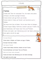 Vorschau - Arbeitsblätter - Sachtext Fuchs - Seite 2